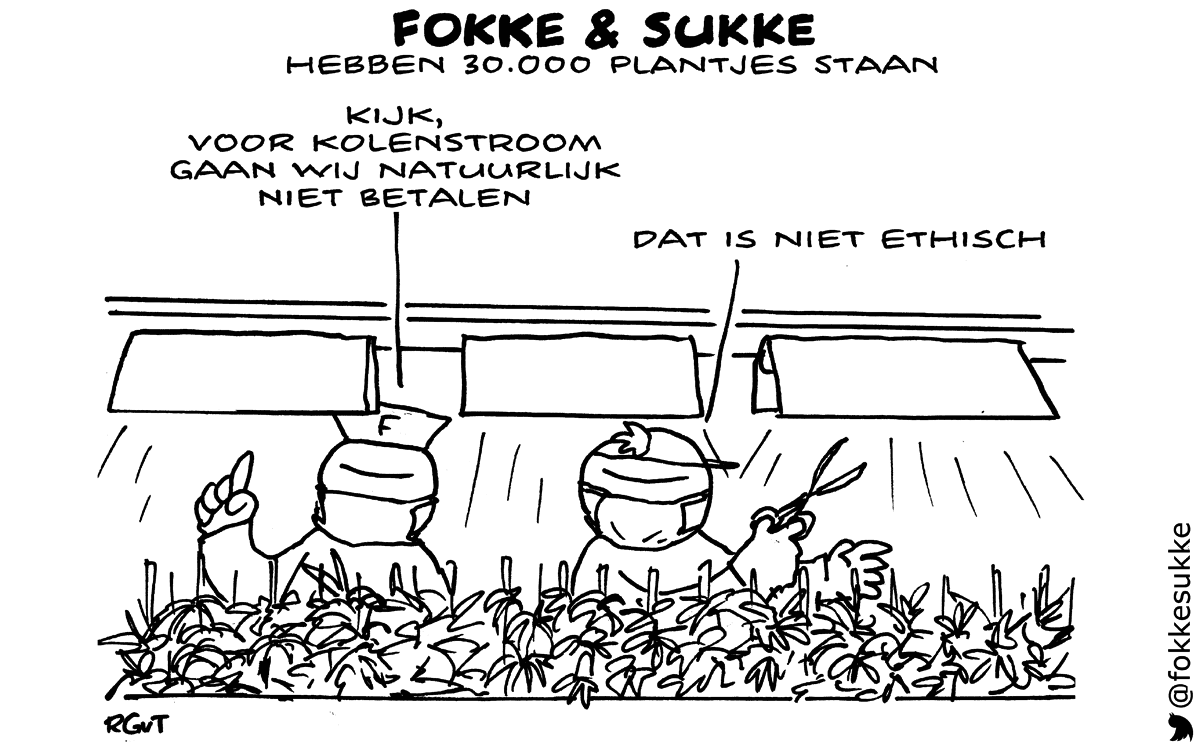 F&S hebben 30.000 plantjes staan (NRC, di, 03-02-15)