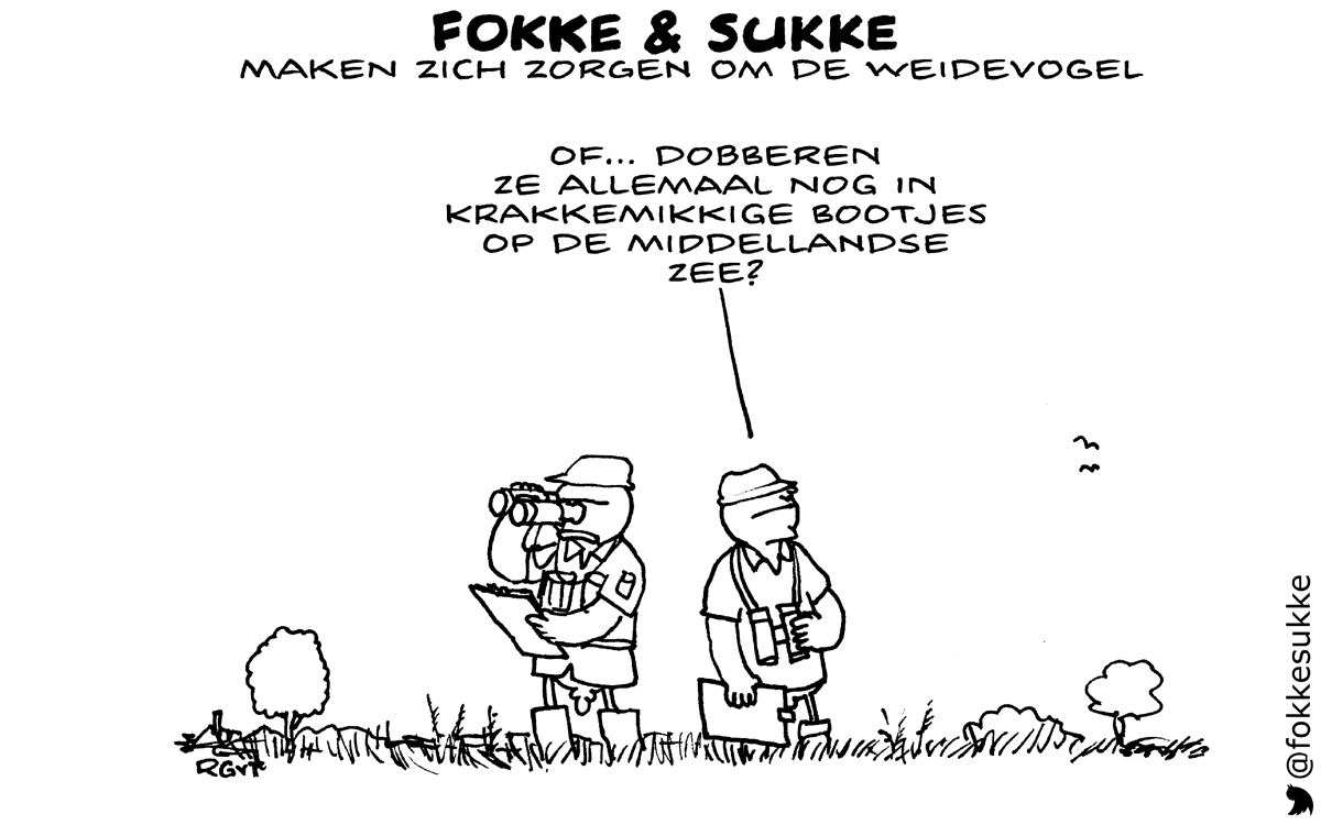 F&S maken zich zorgen om de weidevogel (NRC, do, 06-08-15)