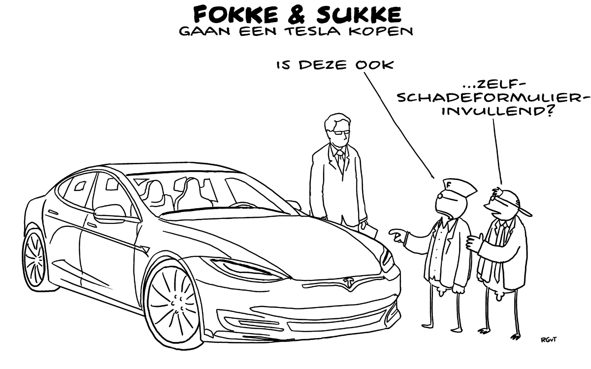 F&S gaan een Tesla kopen (NRC, vr, 31-05-18)