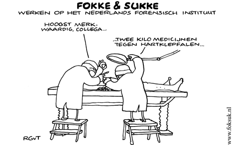 Fokke & Sukke