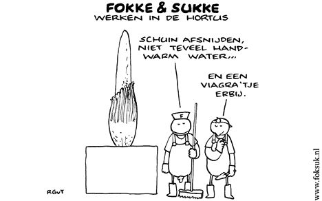 F&S werken in de Hortus (NRC, di, 26-08-08)