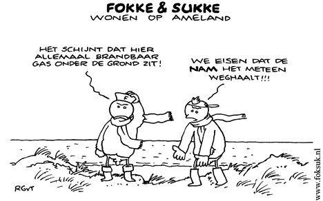 F&S wonen op Ameland (NRC, do, 03-12-09)