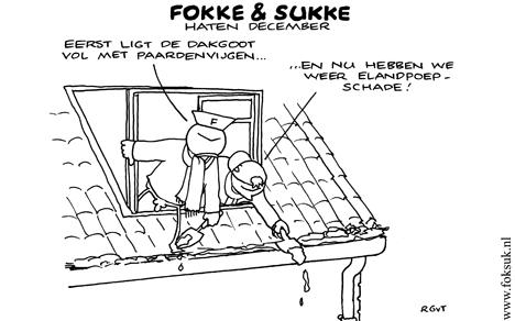 F&S haten december (NRC, ma, 27-12-10)