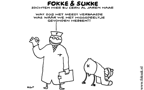 F&S zochten hier bij CERN al jaren naar (NRC, di, 13-12-11)
