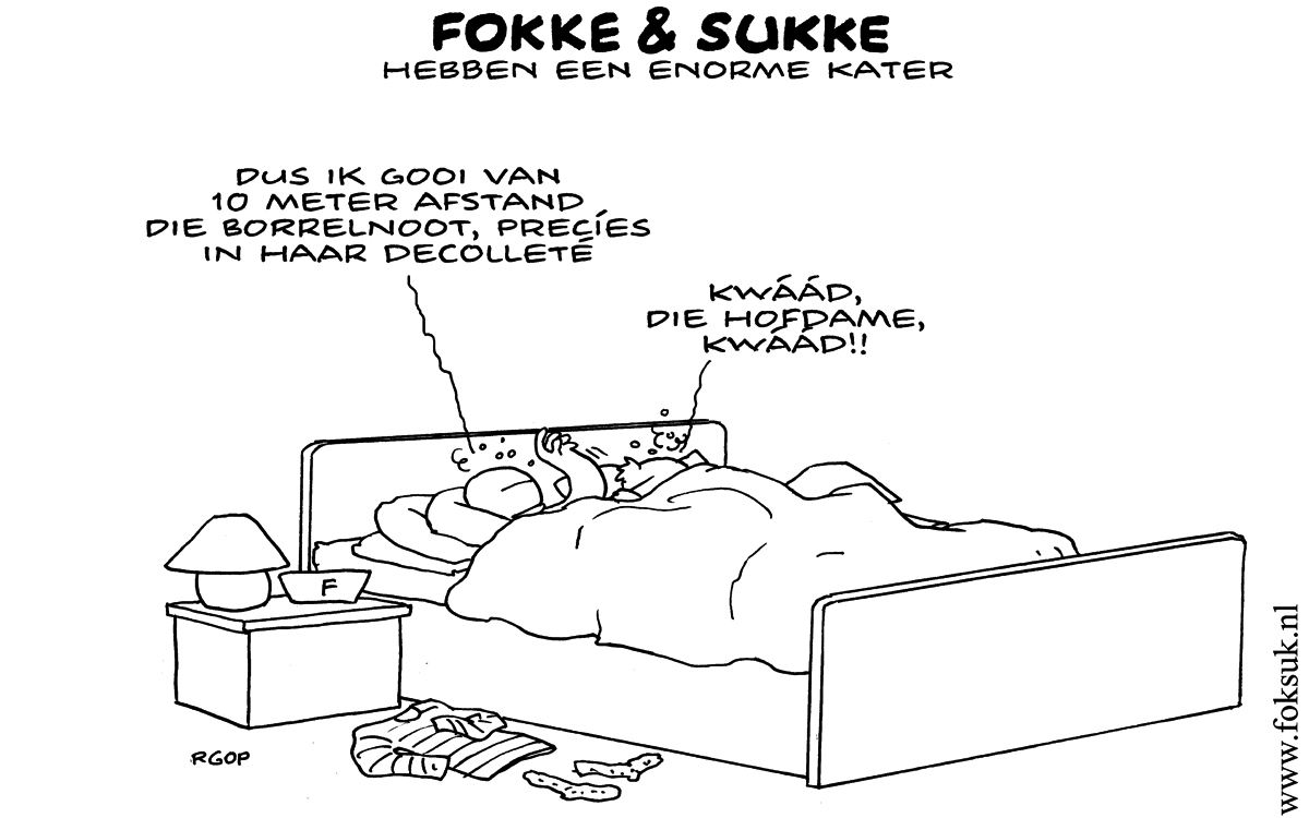 F& S hebben een orme kater (NRC, vr, 01-02-13)